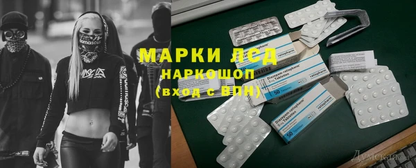 мяу мяу мука Арсеньев
