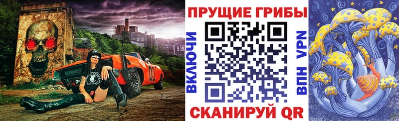 цена   Спас-Деменск  Псилоцибиновые грибы Psilocybine cubensis 